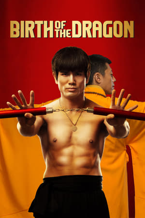 Birth of the Dragon (2016) Hindi Dual Audio [1.2GB]